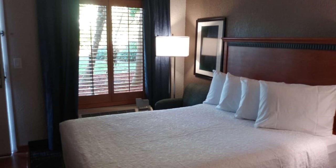 Surestay Plus Hotel By Best Western Clearwater Central ภายนอก รูปภาพ