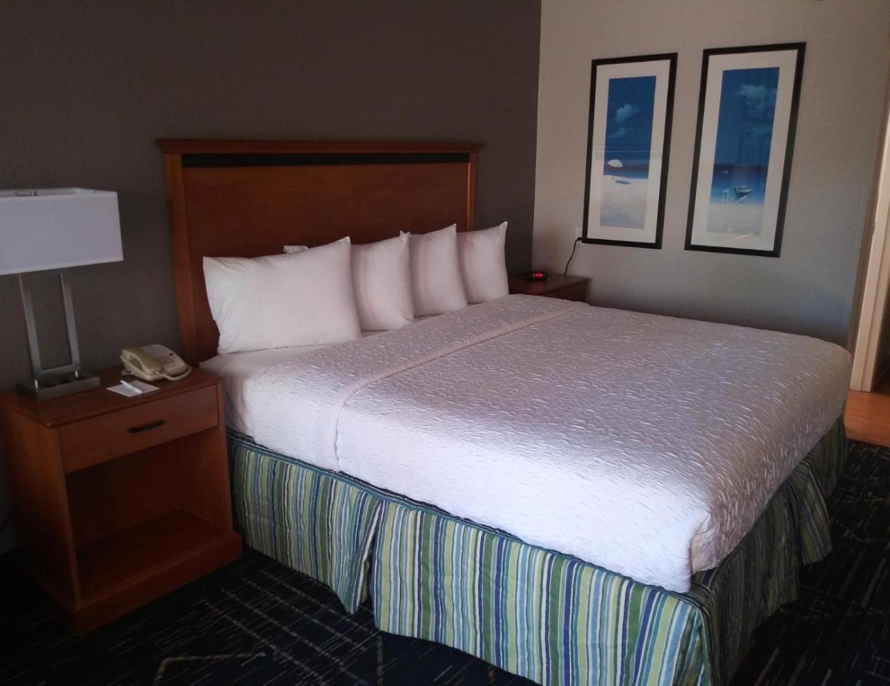 Surestay Plus Hotel By Best Western Clearwater Central ภายนอก รูปภาพ